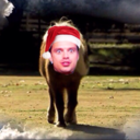 wintersoldiersbuttt-blog avatar