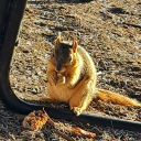 wintersouldier57 avatar