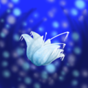 wintersphoenix avatar