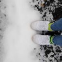 wintersstudies avatar