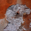 winterwantsme-blog avatar