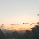 winterwhizkey avatar