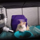 winterysoldaty avatar