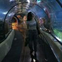 wirstehendirbeibisindentod avatar