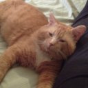 wisconsingrrl avatar