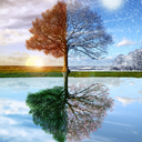 wisdom-and-witchcraft avatar