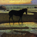 wisdomhorse avatar