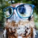 wiseowl-bookworm avatar