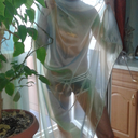 wisestudentpirate-fan avatar