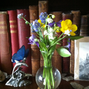 wishes-and-dust avatar