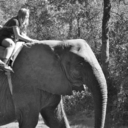 wisheslikekisses avatar