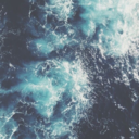 wishing-to-fly avatar