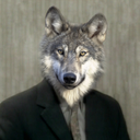 wishingwolves avatar