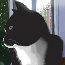 wishuponawish avatar