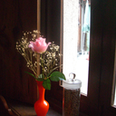 wisterialovers avatar