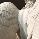 wistful-poet00 avatar