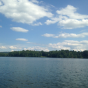 wistful-thinkingg avatar