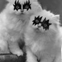 witch-astrology avatar