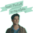 witch-wolf-vampire avatar