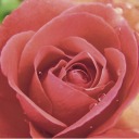 witchdoctorwonttell avatar