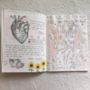 witchesguidethroughthegalaxy avatar