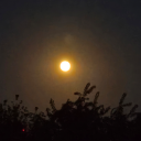 witchilibrarian avatar