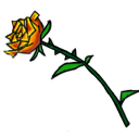 witching-hour-pets2 avatar