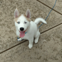 witchlight041 avatar