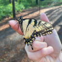 witchofthewast3 avatar