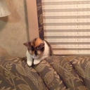 witchweeklyreporter avatar