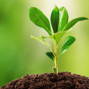 witchworldwide-blog avatar