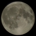 witchy-ghuleh avatar