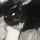 witchy-witchh avatar