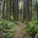 witchy-woman101 avatar