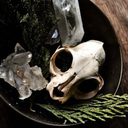 witchykohai-old avatar