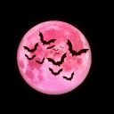 witchymommy27 avatar