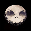 witchymouchka avatar