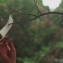 witchysprings avatar