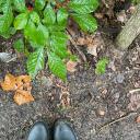 with-zielschmerz avatar