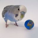 witheredhope2007 avatar