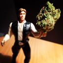 withloveandweed avatar