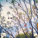 withmeinxanadu avatar