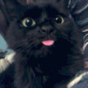 withoutt-youu avatar