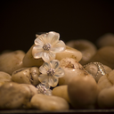 wittyandbeauty-blog1 avatar