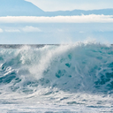 wittywordster avatar