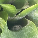 wizard--stuff avatar