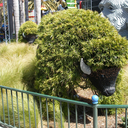 wizard-bizness avatar