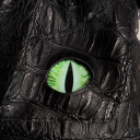 wizards-spellblog avatar