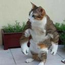 wizardsaremomstoo avatar