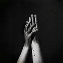 wmohammed-blog avatar